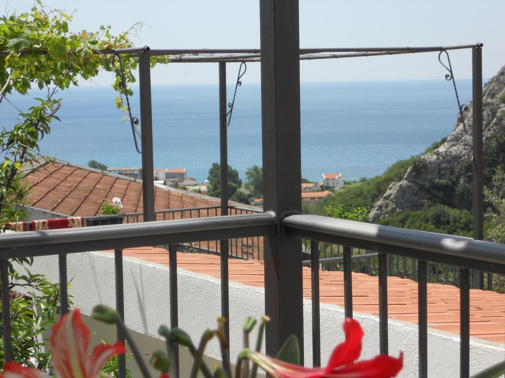 Apartment Djukovic Petrovac Exterior photo